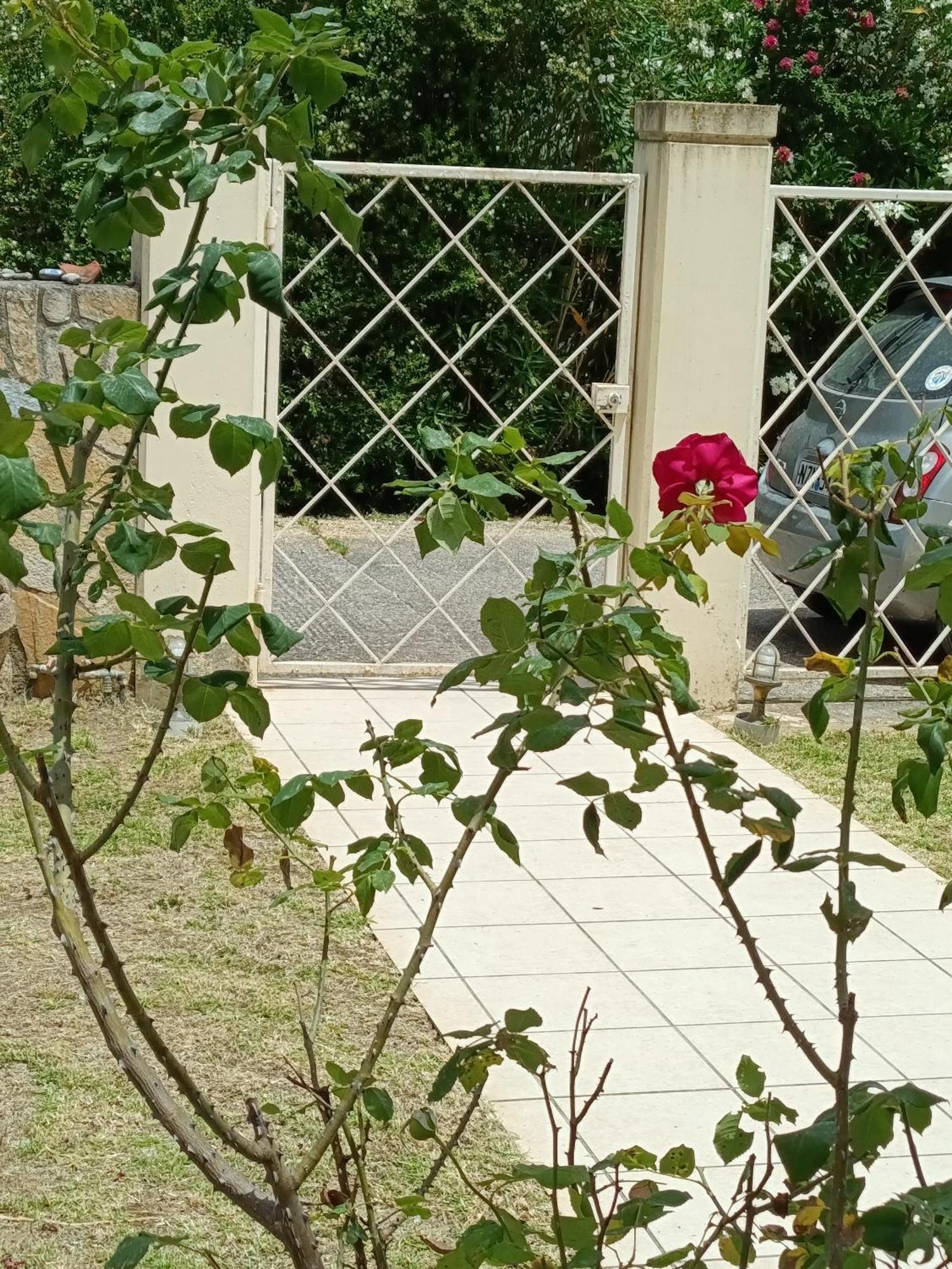 Apartment A Quiet Corfu (city)